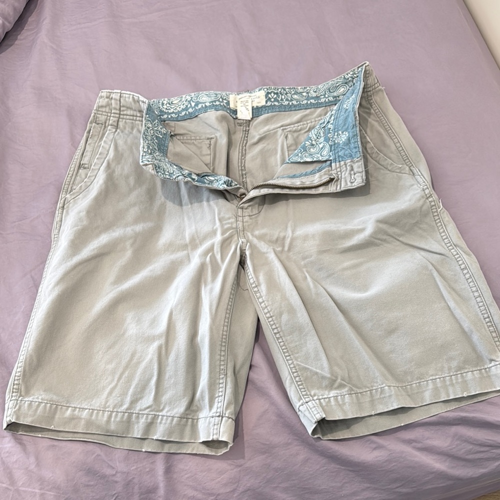 American Eagle Outfitters Gray and Blue Flat Front Shorts